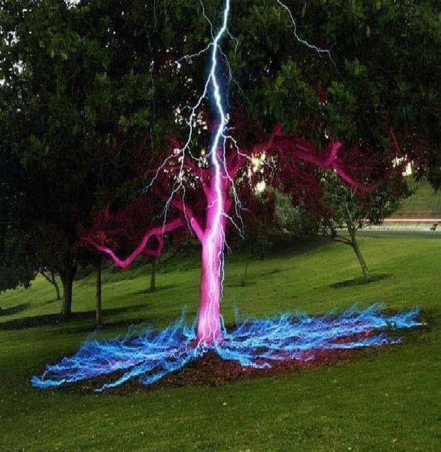Lightning hit the tree